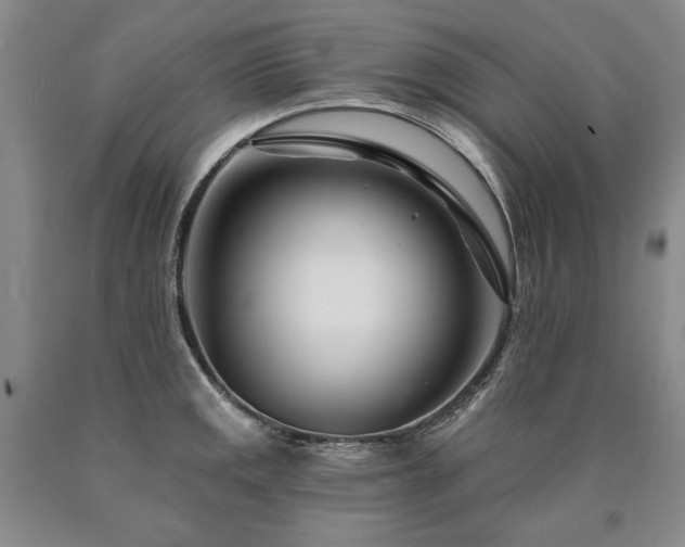 X0000090871141200707271245