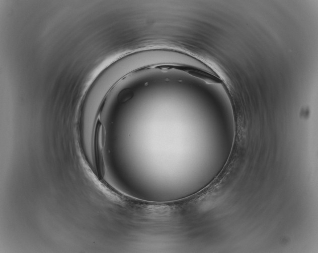 X0000090871142200707271245