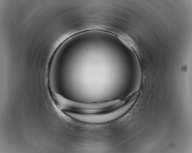 X0000090871143200707271245