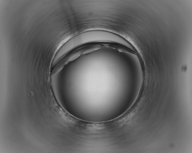 X0000090871145200707271245