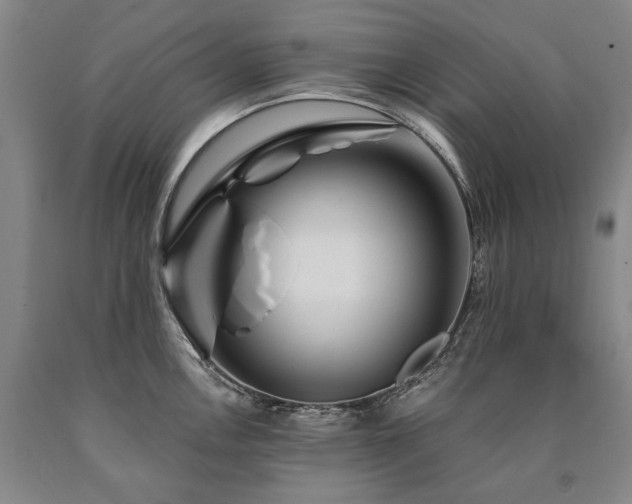 X0000090871146200707271245