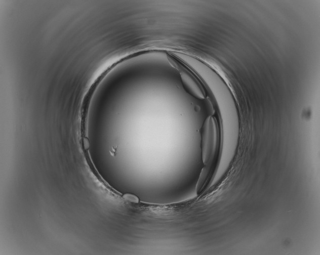 X0000090871147200707271245