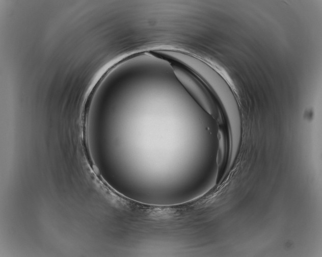 X0000090871148200707271245