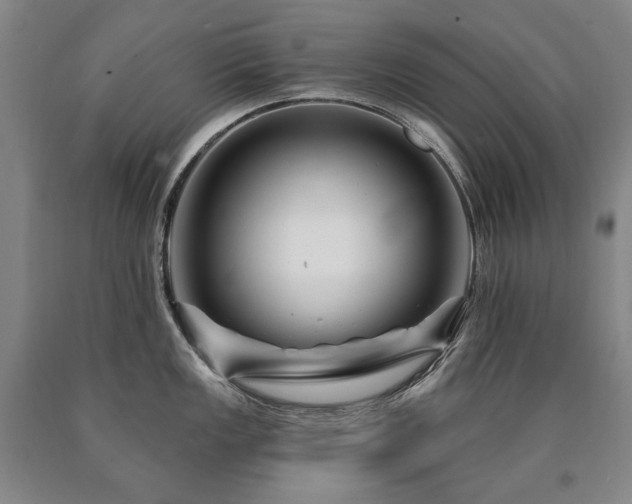 X0000090871149200707271245
