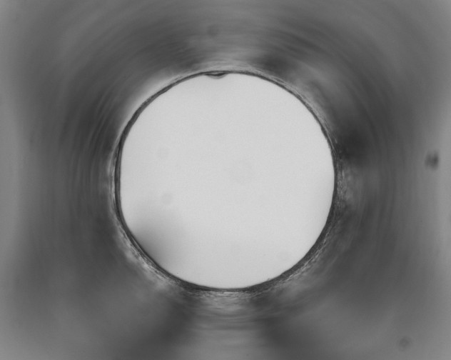 X0000090871150200707271245