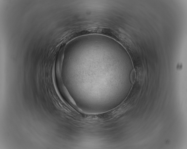 X0000090871154200707271245