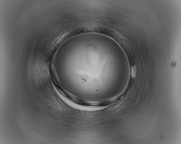 X0000090871155200707271244
