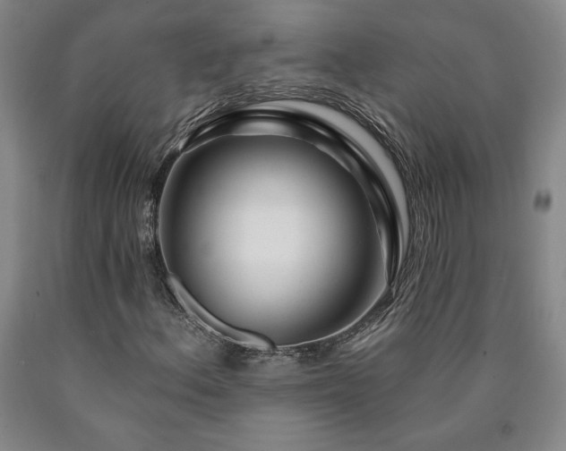 X0000090871156200707271244
