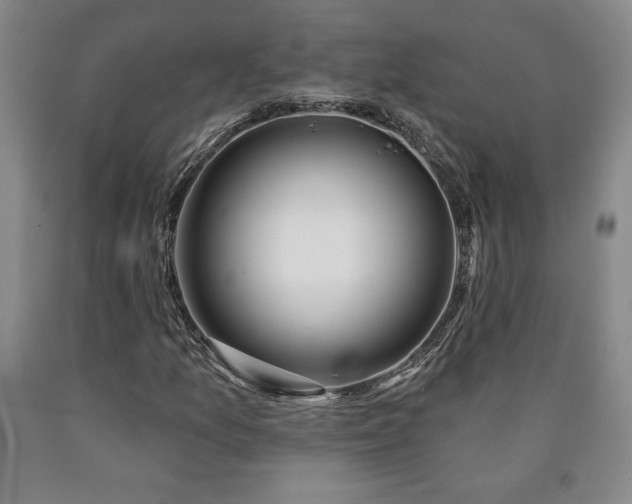 X0000090871157200707271244