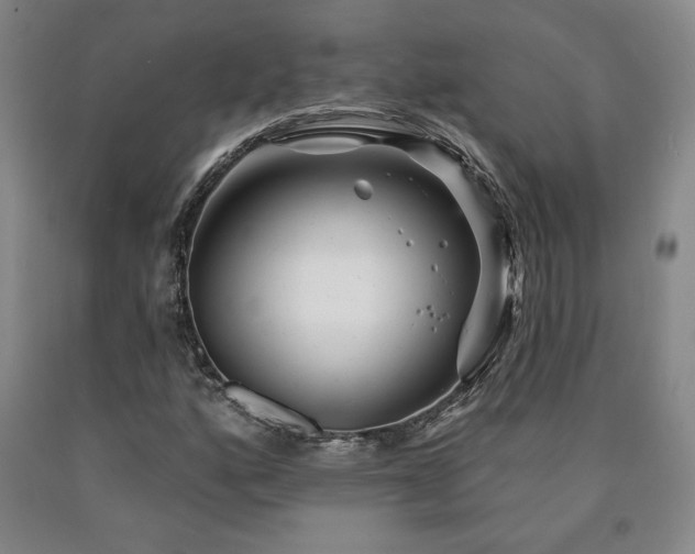 X0000090871160200707271244
