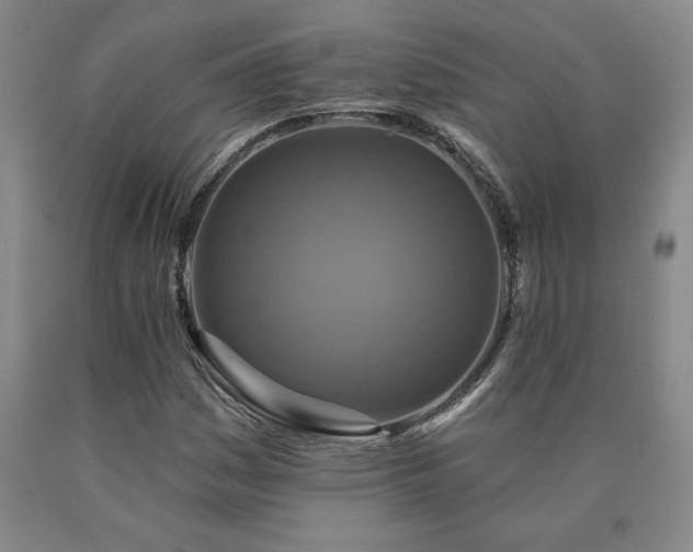 X0000090871161200707271244