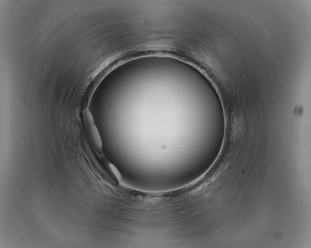 X0000090871162200707271244