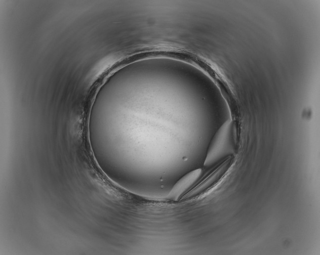 X0000090871163200707271244