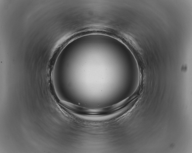 X0000090871164200707271244