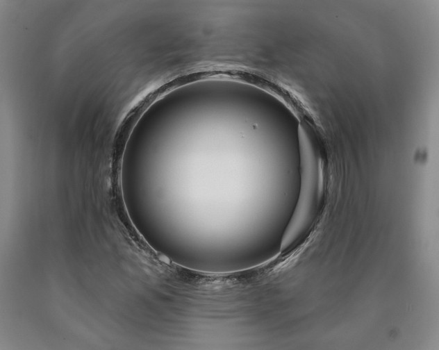X0000090871165200707271244