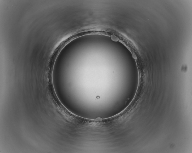 X0000090871166200707271244