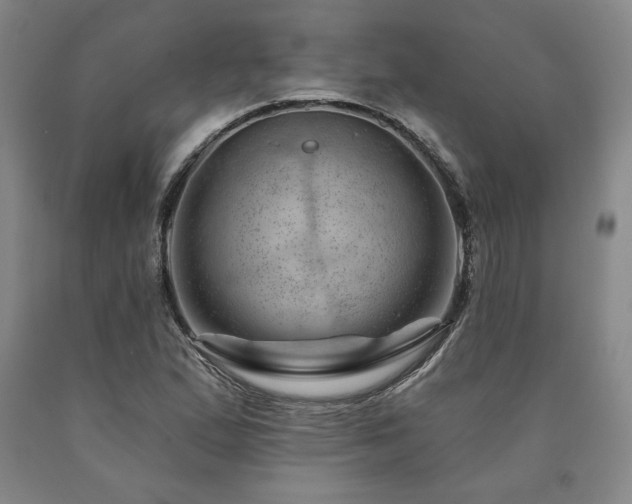 X0000090871167200707271244
