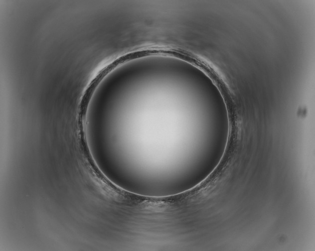 X0000090871168200707271244