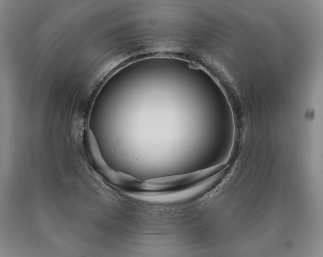 X0000090871169200707271244
