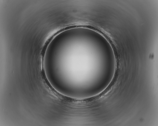 X0000090871171200707271244