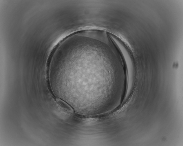 X0000090871173200707271244
