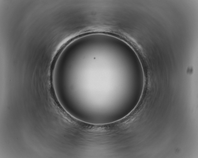 X0000090871174200707271244