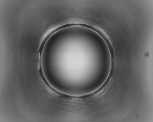 X0000090871175200707271244