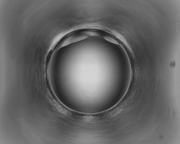 X0000090871176200707271244
