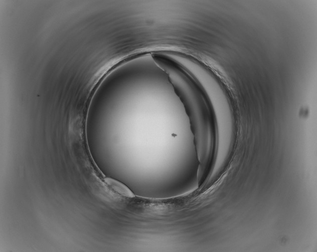 X0000090871177200707271244