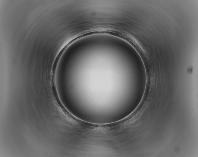 X0000090871178200707271244