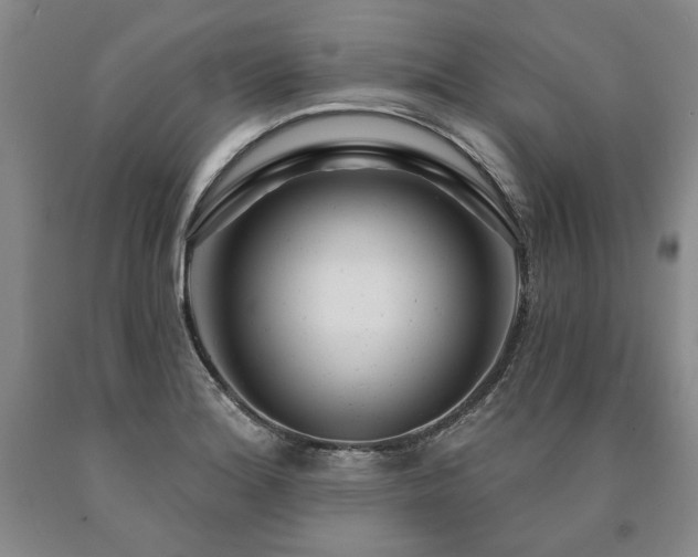 X0000090871180200707271244