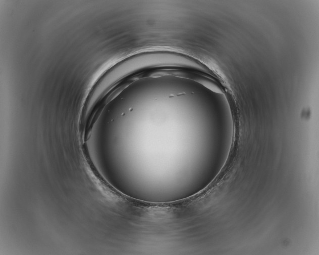 X0000090871181200707271244