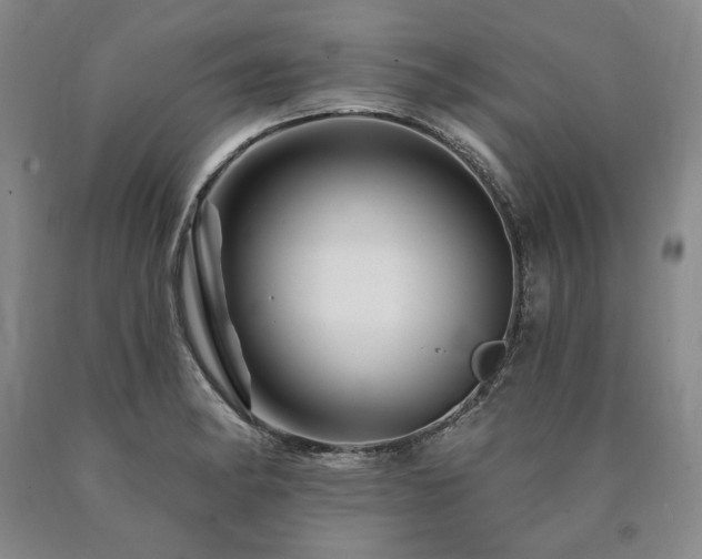 X0000090871182200707271244