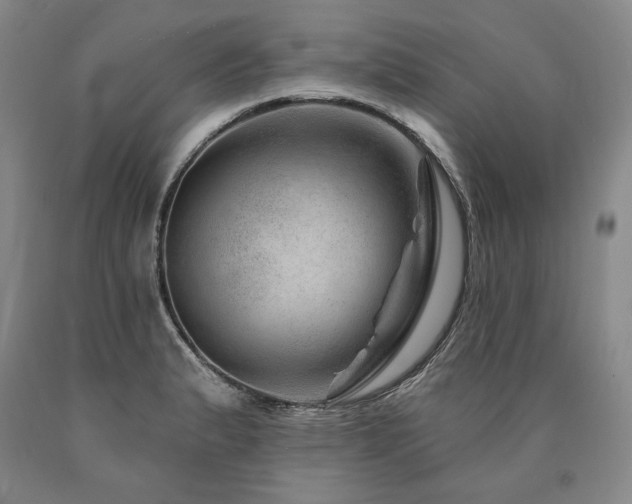 X0000090871183200707271244