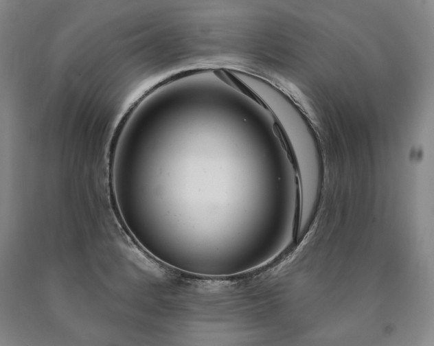 X0000090871184200707271244