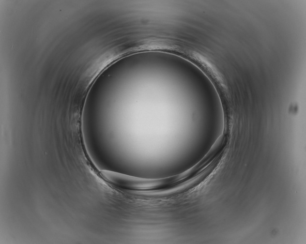 X0000090871185200707271244