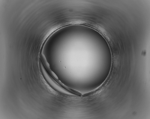 X0000090871186200707271244