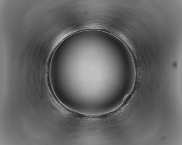 X0000090871187200707271244
