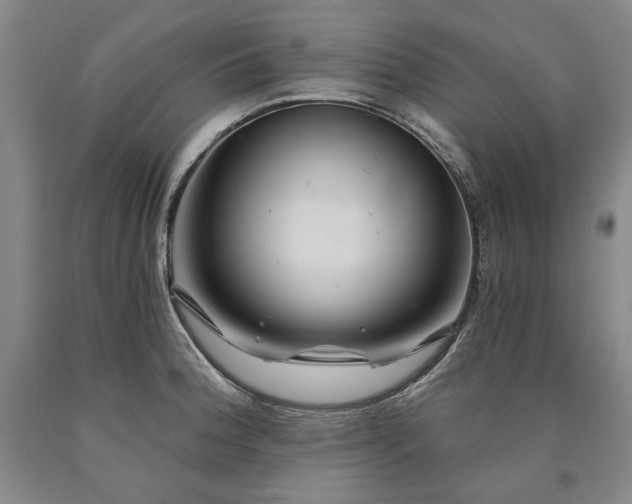 X0000090871188200707271244
