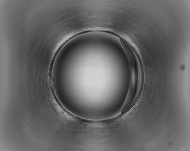 X0000090871189200707271244