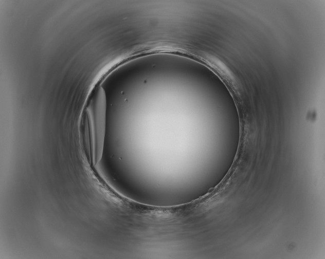 X0000090871190200707271244