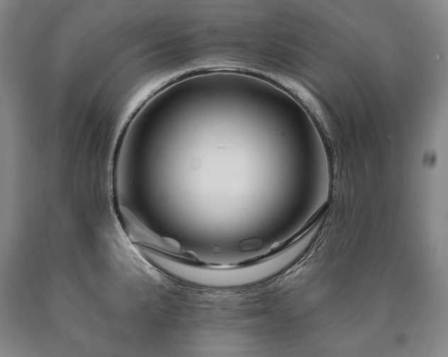 X0000090871191200707271244