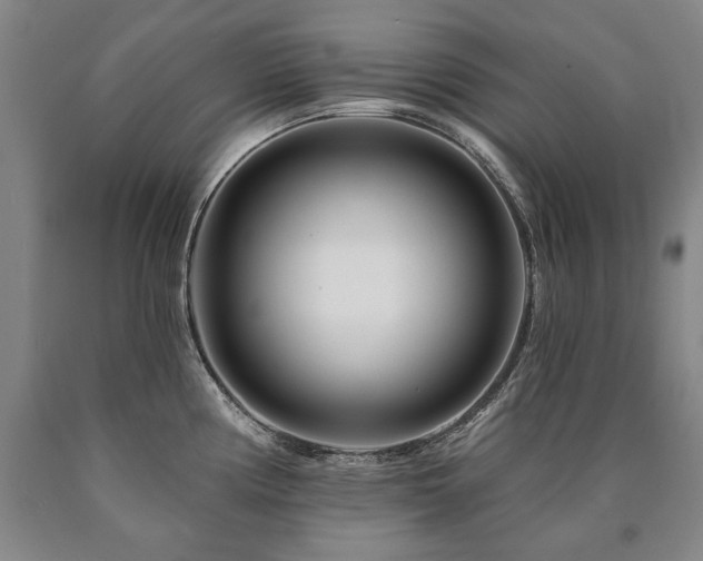 X0000090871194200707271244