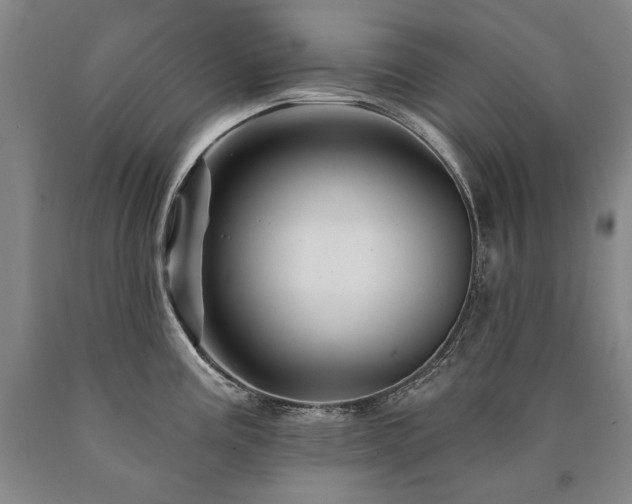 X0000090871195200707271244