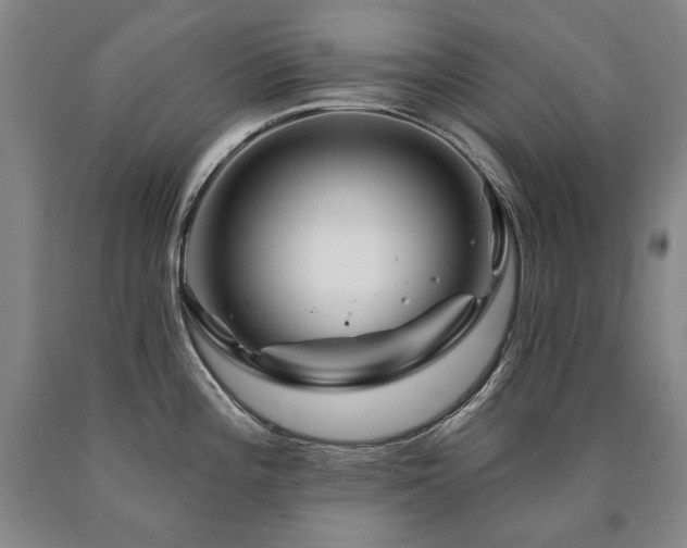 X0000090871196200707271244