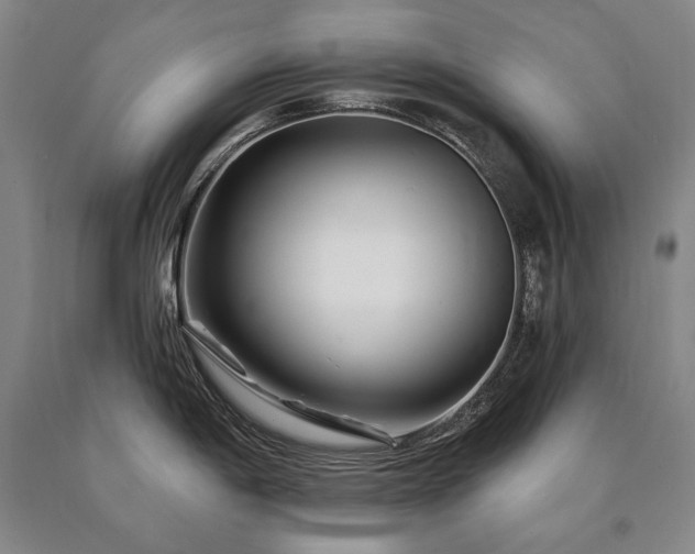 X0000090871198200707271244