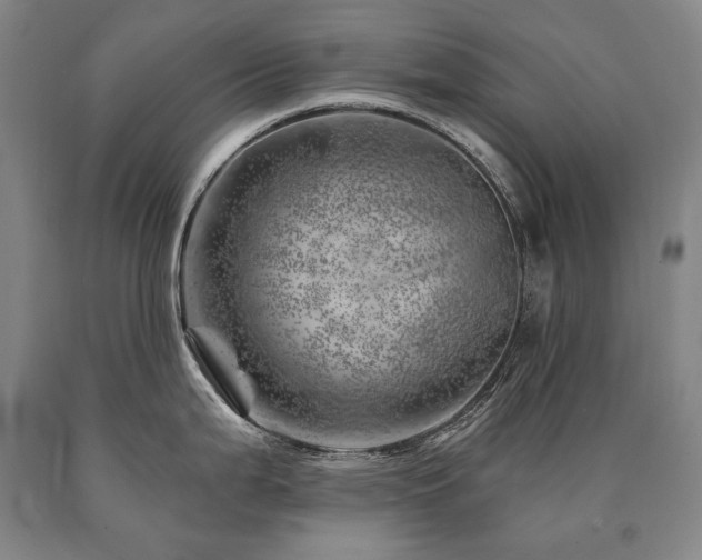 X0000090871199200707271244