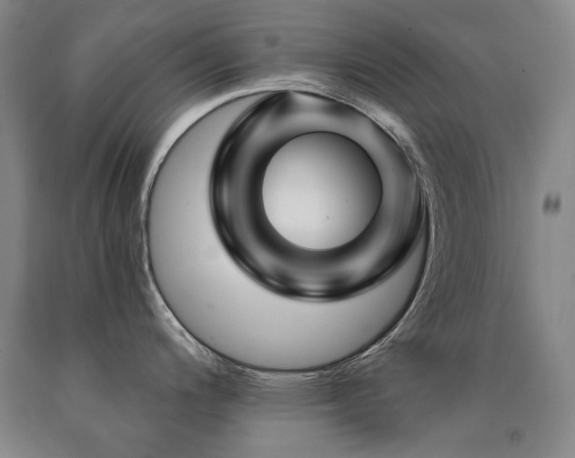 X0000090871200200707271244