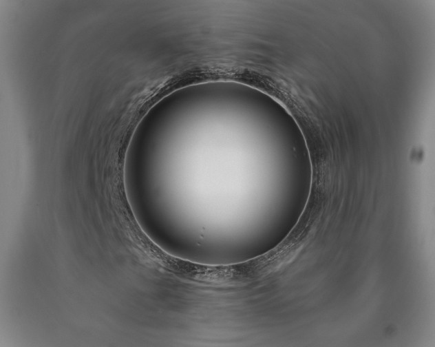 X0000090871201200707271243