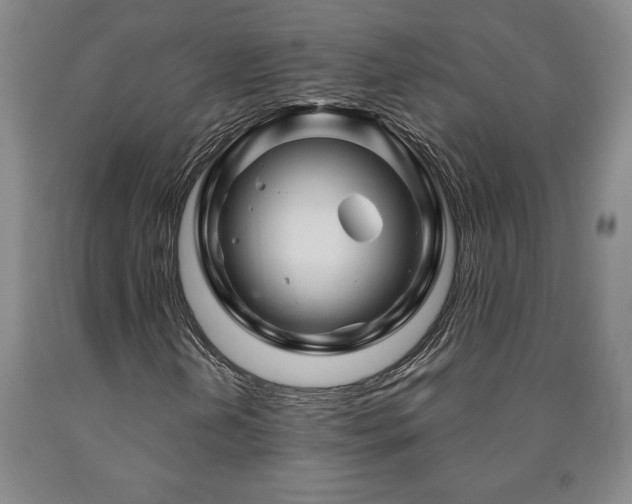 X0000090871202200707271243